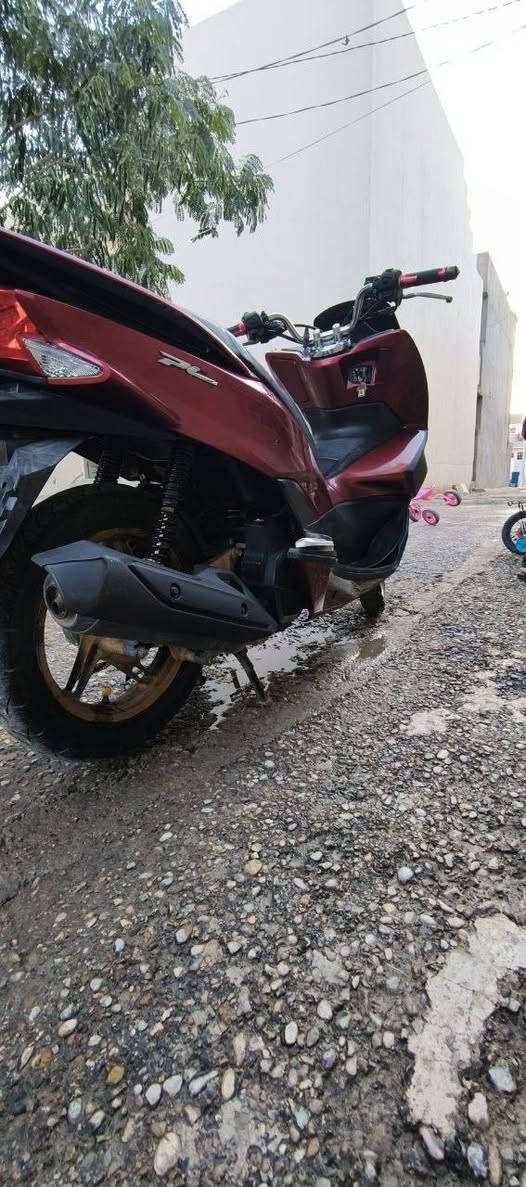 السلام عليكم
دراجة PCX  الجيل الثاني للبيع 

ياباني اصلي رقم الشاصي/JF 

مكينة مكفولة كفالة عامة 

استان حساس 

حساس ازدحام 

كفرات بلادية 

كلشي شغال على حالة الوكالة بعدها مال جناي 

السعر/13.5 وبيها مجال للشراي ويدلل 

 الموقع/ بعقوبة -بهرز -شارع 7 نيسان 

رقم الهاتف/***********
