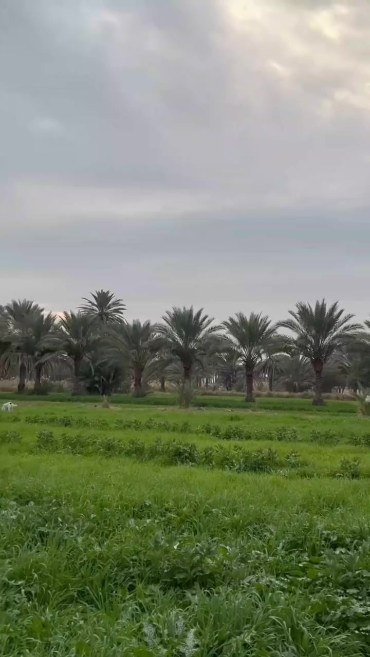 #مزرعة_للبيع #عقارات_للبيع #ارض_زراعية #عقارات


**إذا كنت صاحب هذا الإعلان وتريد حذفه لأي سبب، رجاءا أرسل رسالة إلى الدعم الفني**