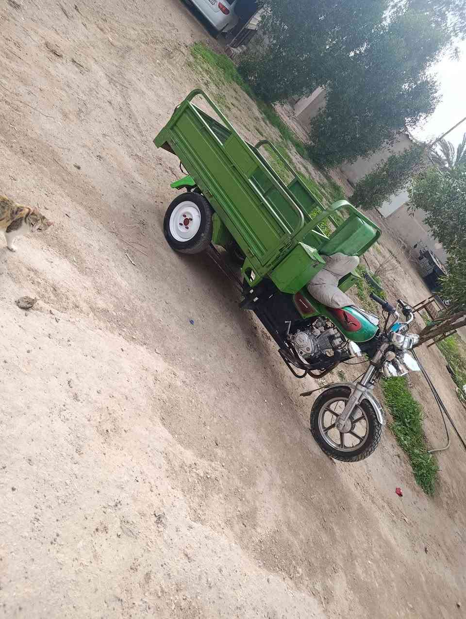 ستوته لبيع ميدل 22وراق صولي شاصي مكفول ستوته معمره 25 ستوته جاهزه كهرابيات كله شاقله ستوته حله من صور مكان بابل محاويل ناحيت المام سعر 1700 وبيه مجال الرقم ***********
