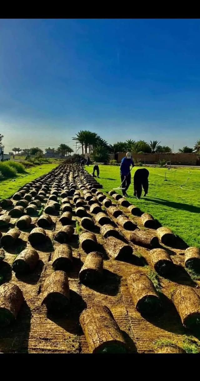 مزارع الثقة التجهيز كافت دواءر الدولة والمنازل ولمتنزهات يوجد توصيل لجميع امحافضات العراق بسعار مرضية.  ***********
