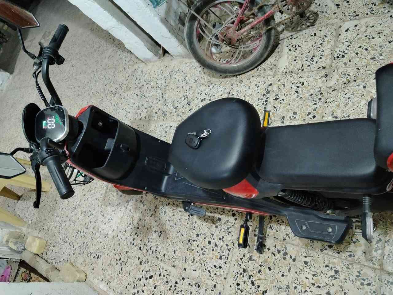 دراجه شحن ويني 2025 دراجه نظيفه السعر 400,000 ومجال جدا بسيط حجم 14 بصمتين العنوان الشطره


**إذا كنت صاحب هذا الإعلان وتريد حذفه لأي سبب، رجاءا أرسل رسالة إلى الدعم الفني**