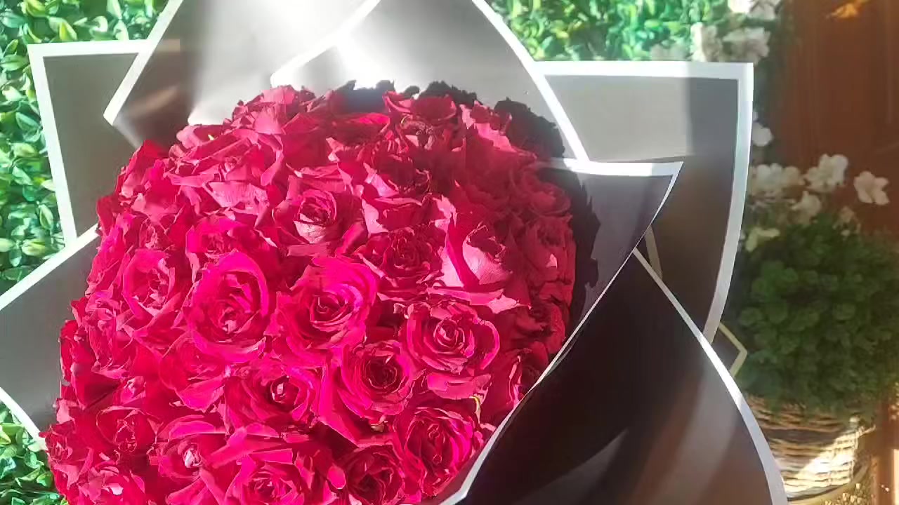 ❤️🌙❤️
🌙  لايك👍 وشير حته يوصلكم كل ماهو جديد💐
🌙للطلب والاستفسار مراسلتنا على الماسنجر او ***********وتساب ☎️💐
🌙توصيل بغداد ومحافظات🚙💐

#تخرج_جامعه #دراسات#تنظيم_ قاعات#بورد_ترحيبي#زهور_طبيعية_صناعية_شوكولا_توزيعات_ديكور_بالون_تغليف_هدايا_مسكات_عروس_انفنتي_شوكولا_بيبي
