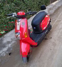 ماكس بوليس • كفالة • طويريج