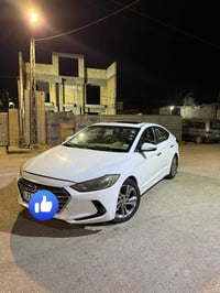 النترا • ٢٠١٧ • رقم اربيل