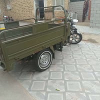 مديل ١٩ • مكفوله • زيتوني