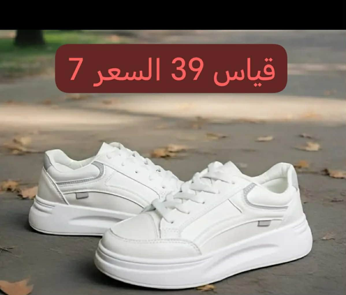 قياسات داخل🖼
@أبرز المعجبين


**إذا كنت صاحب هذا الإعلان وتريد حذفه لأي سبب، رجاءا أرسل رسالة إلى الدعم الفني**