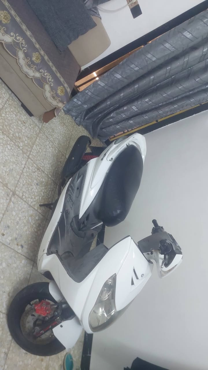 سكنس فحل بيع او مراوس الغزاليه 600.     ***********
