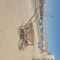 عربانه طفل • نضيفه