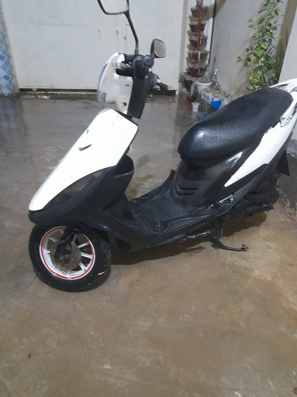 سلام عليكم ماكس عدله 49 للبيع كلهه شغاله بس سلف مدري شخاطه مدري سلف مكاني بعقوبه الجديده سعر 575 وبيه مجال الاستفسار  ***********
