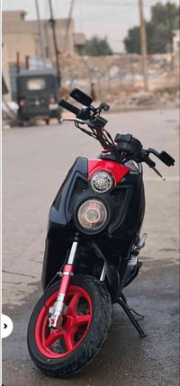 احبتي سكنس جبلي للبيع ً الما يعرف بيهن لا يتصل ع رقمي بس شراي يتصل 077...