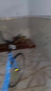 بيسكل • شركة BD • موديل 21