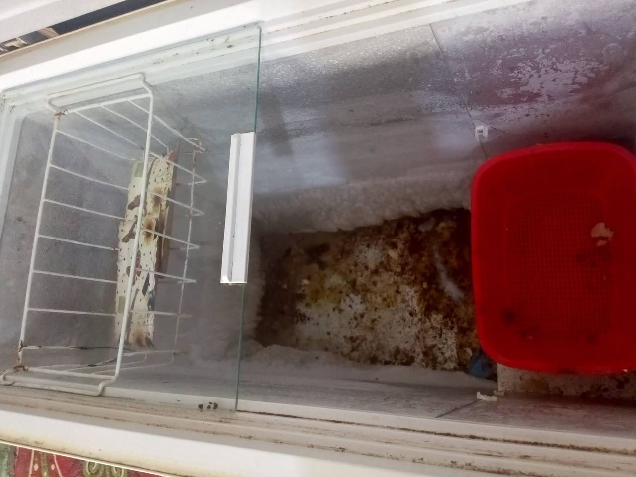 للبيع السعر 75الف


**إذا كنت صاحب هذا الإعلان وتريد حذفه لأي سبب، رجاءا أرسل رسالة إلى الدعم الفني**