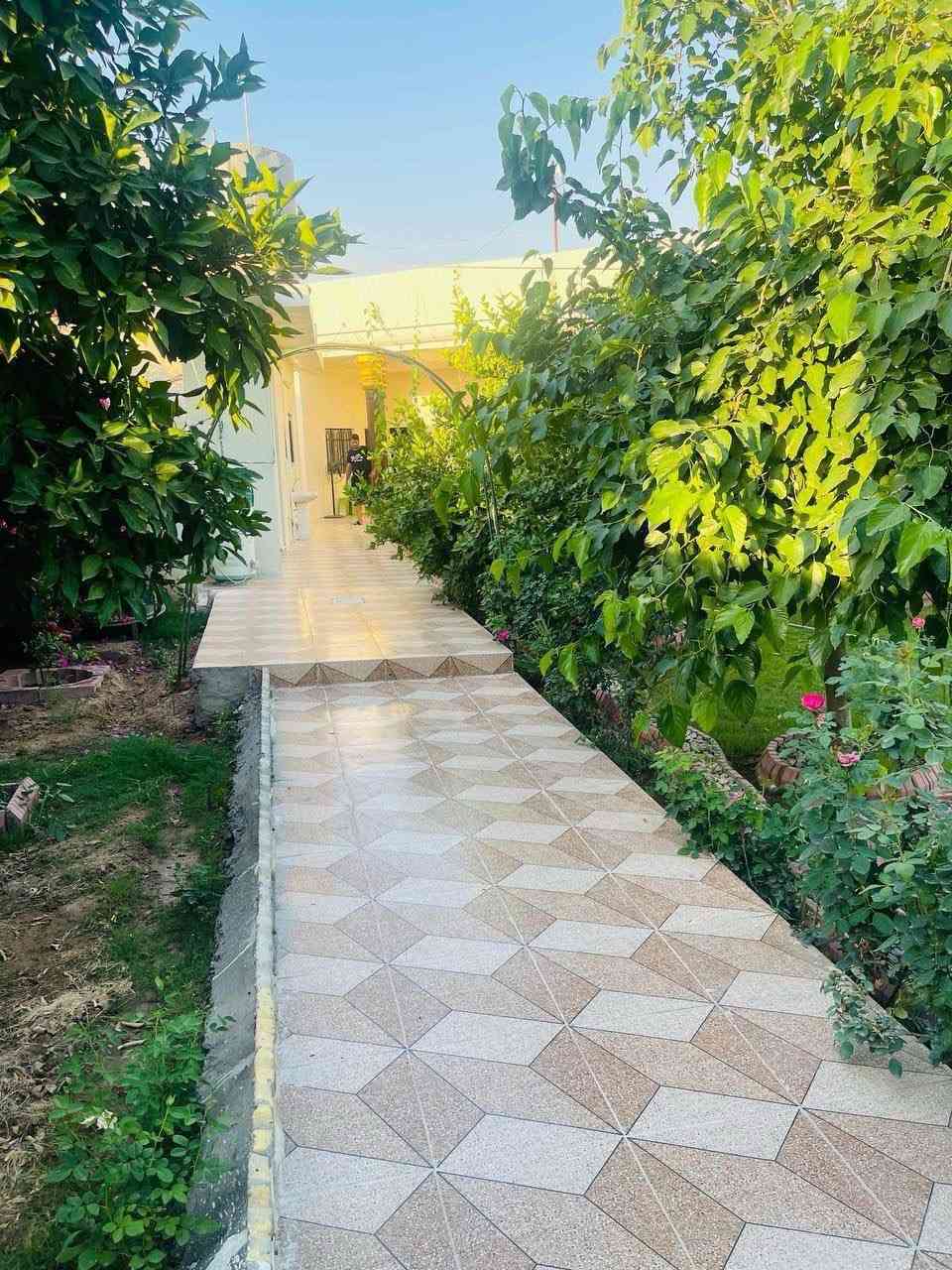 جمعتكم وراحتكم ببلد.. صارت بمكان واحد! 🌊
​وفرنالكم مزارع في قضاء بلد تمتاز بالدمج بين الطبيعة والبناء الحديث الخيار المثالي للجميع 😌❤️  وبأسعار مختلفه واكيد يمنه مخفضه😎 رااااااسلونه خاص لبقيه التفاصيل #احجزو شنو منتظرين 😒🤭


**إذا كنت صاحب هذا الإعلان وتريد حذفه لأي سبب، رجاءا أرسل رسالة إلى الدعم الفني**