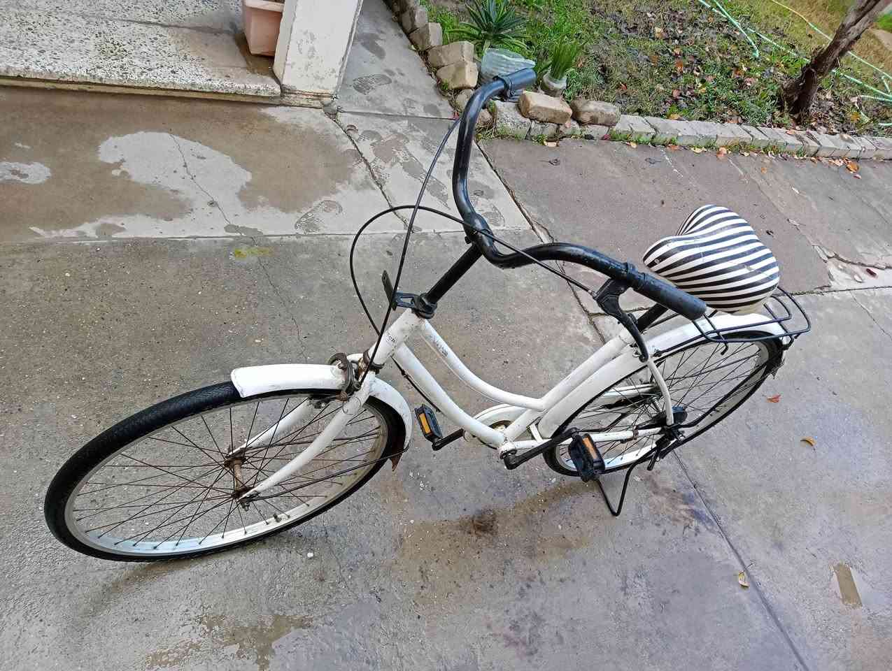 بايسكل حجم 26 السعر 50 وبي مجال 
المكان حي سومر 

***********
***********
