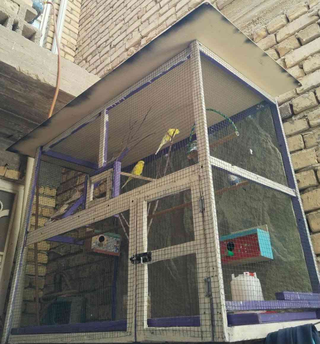 سلام عليكم
للبيع قفص طيور حب تزكام مجر ينسحب جاهز من كلشي ارتفاع متر عرضه 120 نزاله 70 ويا اربع خانات جديد كلش مامستخدم اقل الشهر
سعره 50 وبي مجال لشراي يدلل للستفسار *********** مكاني كوت حي الجهاد
