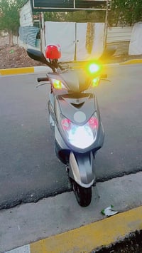 سكنس فحل • مامفتوحة • كوري