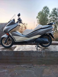 فورزا • نظام شركة • ٣٣٠٠٠