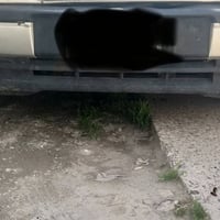 زوج دعاميات • دشبول • الموصل