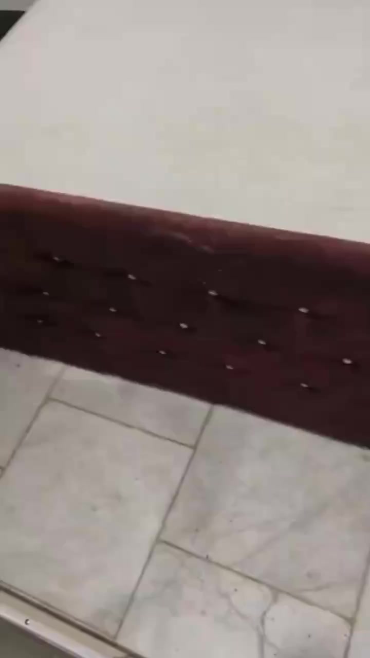 جرباية اطفال للبيع نفرين ب65


**إذا كنت صاحب هذا الإعلان وتريد حذفه لأي سبب، رجاءا أرسل رسالة إلى الدعم الفني**