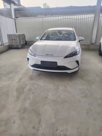 اسعار حيل • انواع بي واي دي • بغداد