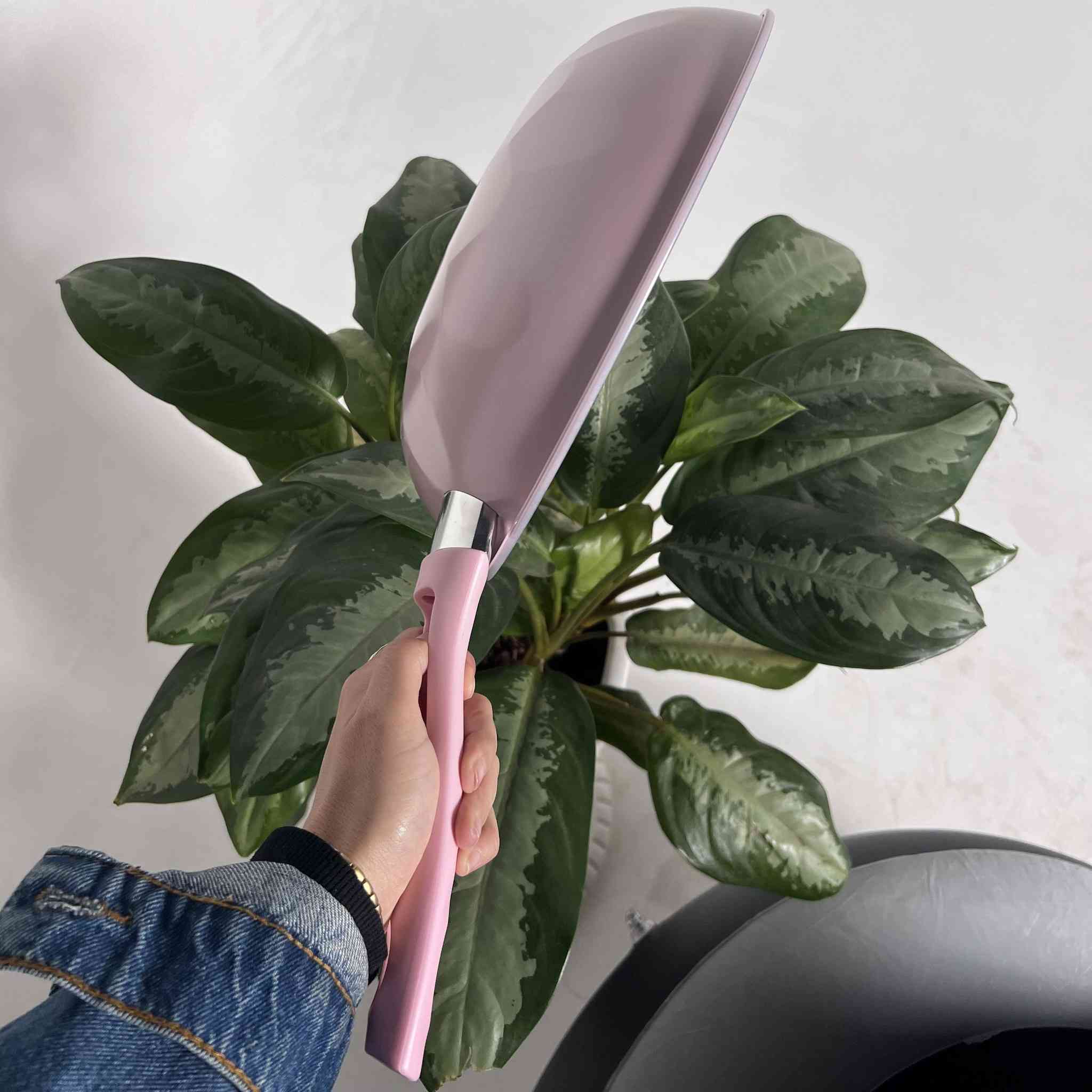 اجهزة كله جديد واصلي اذا مو اصلي لا تستلم الطلب واسعار كلش مناسبة
ارفعو المنشور كولو يالله 💛


**إذا كنت صاحب هذا الإعلان وتريد حذفه لأي سبب، رجاءا أرسل رسالة إلى الدعم الفني**