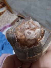 حجر صوان • رأس سمكه • جيود كوارتز