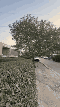 #للبيع_في_السيدية_300م_محدث_درجة_اولى_

محتويات 4غرف نوم  حمامات صاله ومطبخ وخدمات صحية

(التعامل والتفاوض مع صاحب العقار مباشر)

أهم انواع الاستثمار المالي هو الأستثمار العقاري ..... تستطيع استثمار اموالك بطريقة أمنة بشراء عقار في منطقة السيدية .
_______________________________
للاستفسار الاتصال او المراسلة على :-

***********

***********
