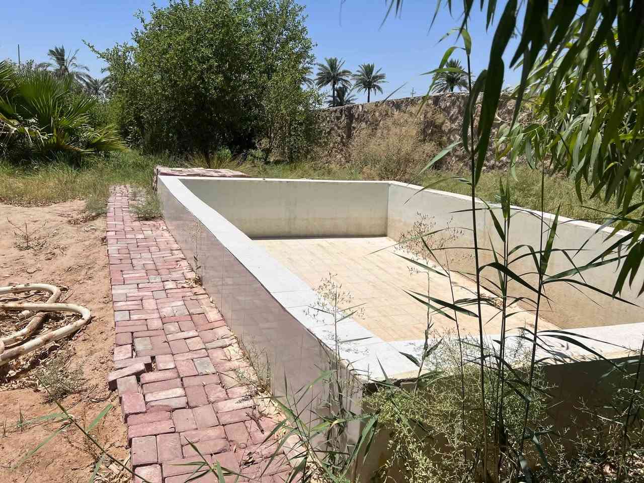السلام عليكم مزرعه للبيع 
المساحة نصف دونم ١٣٥٠ م الموقع  ع شط الكوفة شارع الشاليهات و المسبح الهولندي  مزرعه موضحة كدامكم اي تفاصيل ثانية اتواصلو وياي ع خاص المزرعه طابو زراعي سند ٢٥ ملك صرف تحويل مباشر المزرعه يحتاجلة ترتيب شويه و اتصير شالية


**إذا كنت صاحب هذا الإعلان وتريد حذفه لأي سبب، رجاءا أرسل رسالة إلى الدعم الفني**