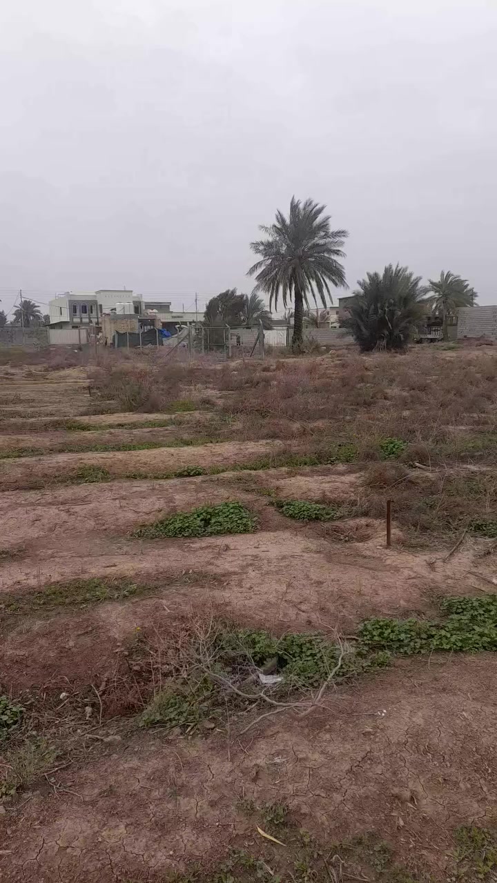 السلام عليكم ورحمة الله وبركاته يوجد قطعه ارض قرب جامع التوبه منطقه البوعيثه الدوره  سند ٢٥ مساحه ١٨٥م واجه ٧م ونزال ٢٧م خدمات حلوه السعر ٢٩مليون للإستفسار انتصال على الرقم يوجد وتساب او تلي كرام
***********
