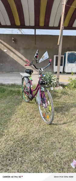 السلام عليكم
باسكل للبيع
موديل 19
ياباني اصلي 
السعر 120
مكاني نجف كوفه 
الرقم الهاتف 
***********
