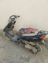 دراجة عصفورية • المسيب • تحتاج كابريته