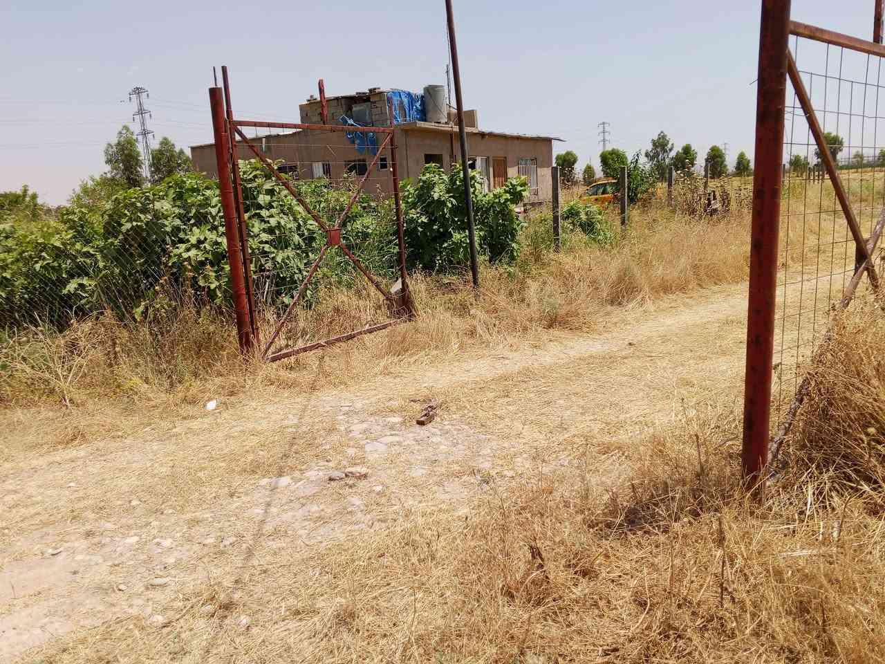 مزرعة للبيع 8 دوانم طابو اسود السعر 145 طريق ليلان للستفسار ***********
