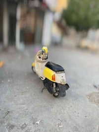 دراجه بوليس ليموني داخل اكريمي ختم واحد وي المكينه مكفوله الدراجه 🦚من ...