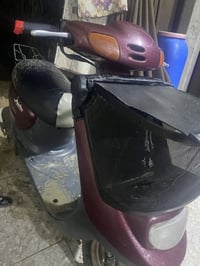 بطه منغولي • احمر • مكاني