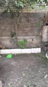 الحبيبية • ٢٧٦م • خلف اسياسيل