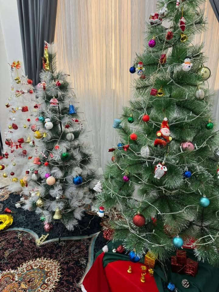 شجرة الكرسمس 🌲🌲بمناسبة رأس السنة نقدم لكم احدث الموديلات بطول 150 سم متر ونص وتجيك وياها الهدايا  بسعر مناسب جدا  للحجز مراسلة الصفحه او الاتصال واتساب المجمع ***********
