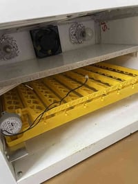 فقاسة ٩٩ بيضة • مستعملة مرتين • كربلاء الحسينيه