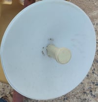 نانو مع بوري القديم الاصلي وآلله بس البوري ماخذه 30الف الي يردهم رايده...