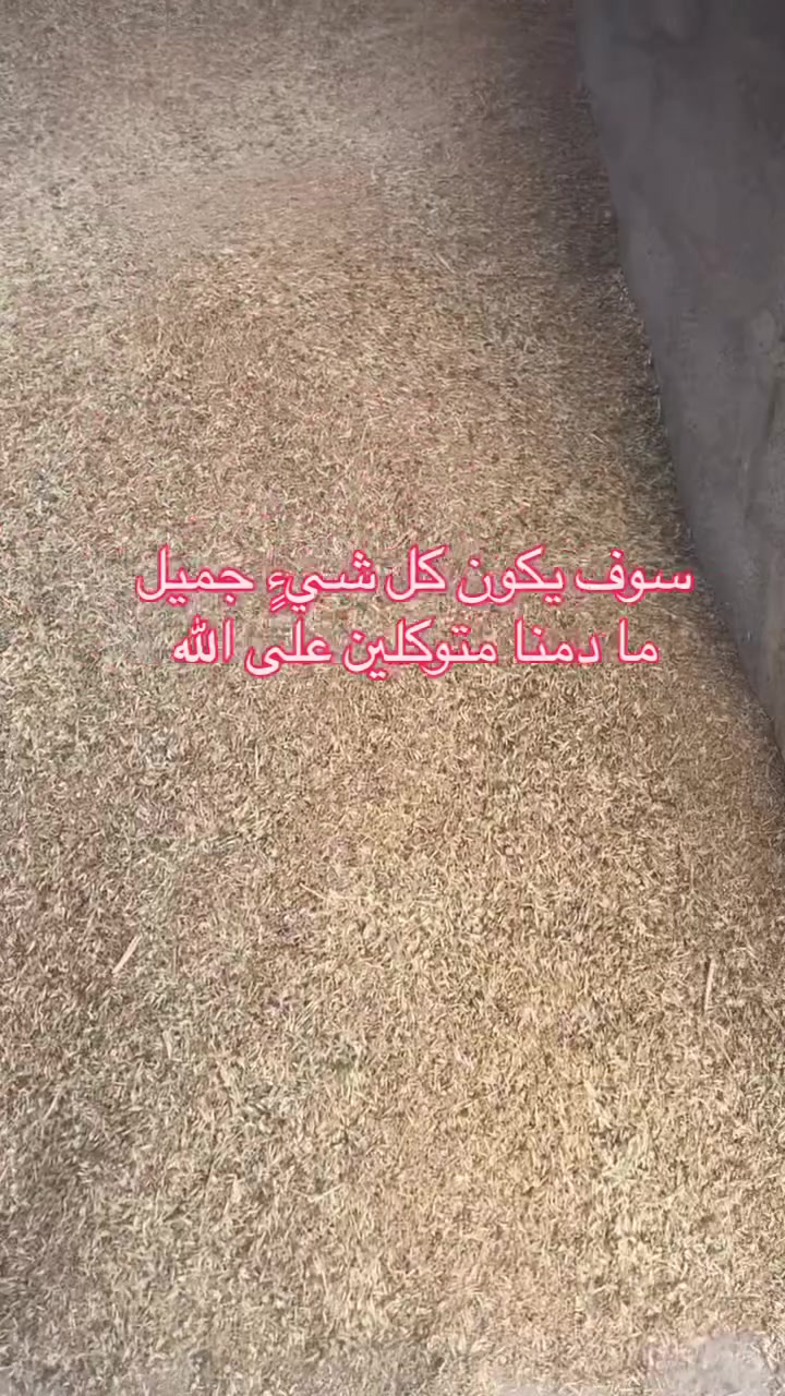 معمل تنقية حبوب االقمح_الحنطة #القمح #الحنطة


**إذا كنت صاحب هذا الإعلان وتريد حذفه لأي سبب، رجاءا أرسل رسالة إلى الدعم الفني**