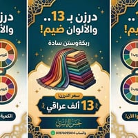 ربطة وستن • ألوان متعددة • كمية محدودة