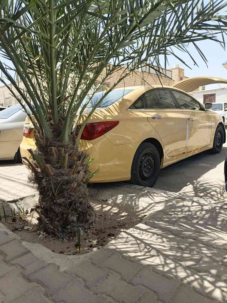 سلام عليكم سوناتا للبيع أو مراوس اوبتمه 9/10/الشراي يتصل ***********
