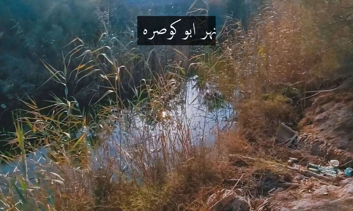 ● أرض وقف سني اصولي للبيع ( مسجلة في الوقف )
● المساحة الكلية 2000 م² ( ألفين متر مربع ) ، واجهة الأرض أكثر من 20 متر .
● الأرض تقع على شارع تبليط وخلف الأرض نهر ابو كوصره
● تبعد عن شارع ابو كوصرة الرئيسي 300 متر ، وتبعد عن شارع الطريق الفوك 900 متر 
● المنطقة بها كافة الخدمات من ماء وكهرباء ، والمنطقة هادئة وتصلح للسكن أو للزراعة أو عمل المكان شاليه .
● ملاحظة البيت الذي في الصورة ليس من ضمن الأرض 
● السعر المطلوب 130 مليون وقابل للتفاوض 
للتواصل والإستفسار على الرقم : ***********
