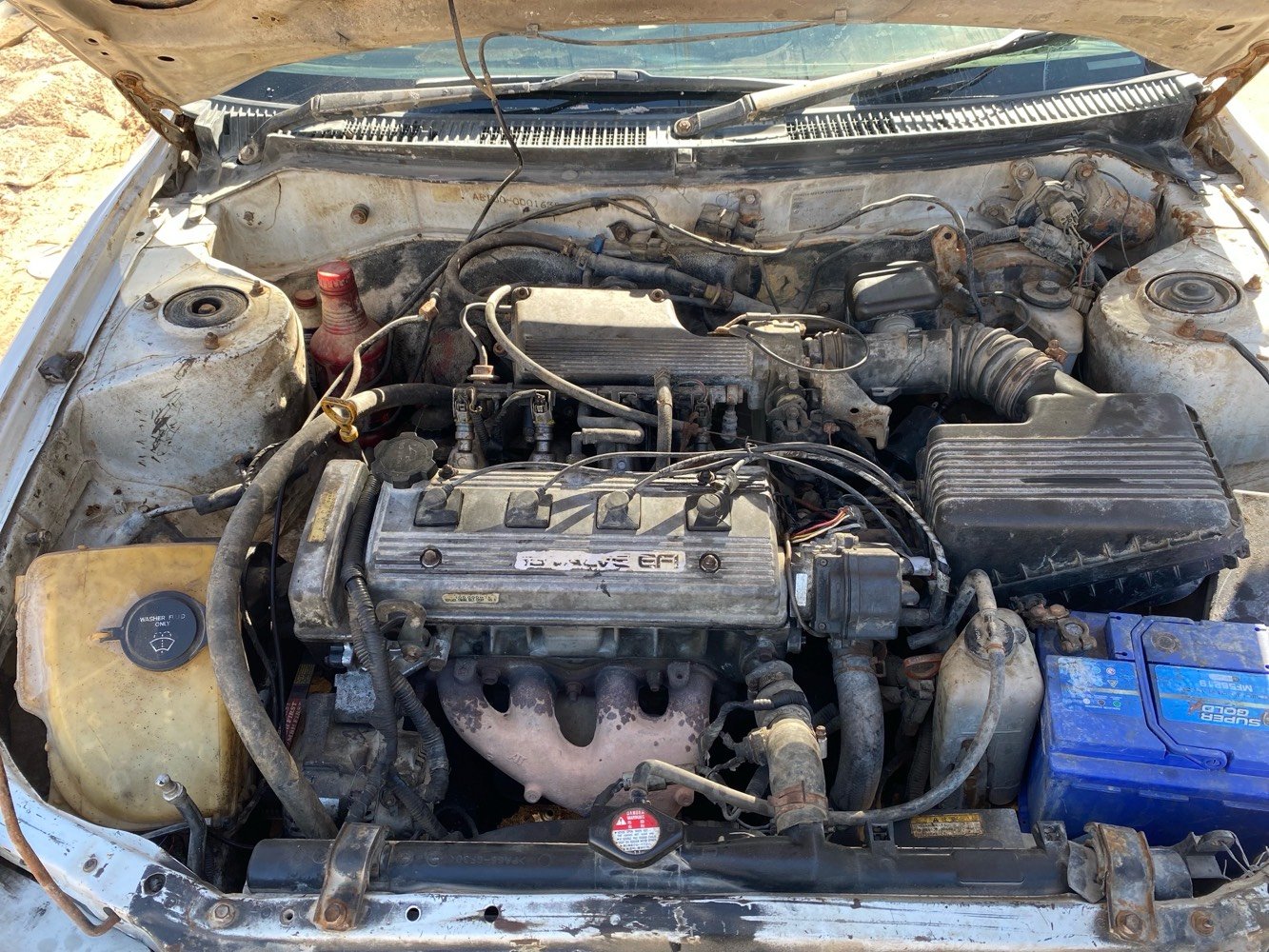 كورله موديل (92) رقم بغداد تحويل ثاني يوم سياره نضيفه كير مكينه جدد حداديه تخم تاير دبلات كله جديد
نكره سلف سياره نضيفه وين ما تريد ترايك 
الاستفسار(***********) (ماكن سياره بصره جزيره)
سعر مناسب