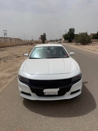 جارجر رالي • ٢٠١٥ • وارد امريكا