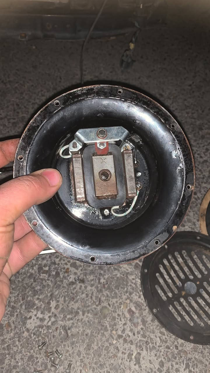 السلام عليكم للبيع هورنات جنح مطرزات المانيات جدد الهورنات السعر ٤٥٠ للستفسار ***********
