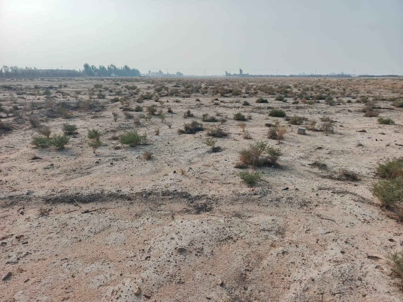 السلام عليكم للبيع مزرعه طريق نجف كربلاء تجاه طريق يا علي عمود 509 قرب شارع الميدان الذبه الثالثه عقد 25 دونم تحتوي علئ بئر ماء وكهرباء وشارع تبليط علما ان عقد المزرعه مجدد للاستفسار الاتصال على الرقم ***********
