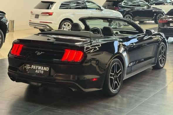 احلة جو هسه ماا سفرات وتاخذ العائلة وبيهج كشف ونظافة وبسعر سوناتا وبكيفك بعد

موستنك 2023

 ماشية 50 الف

بنيد مبدل لون اصلي صبغ فقط خشم جاملغ ايرباك فقط رجل راجع سستم شركة  سيارة جديدة.

جدا رقم اربيل

مكينة 2000 ايكوبوست ببربيوم

مكانه بغداد شارع فلسطين

***********

#السعر_الطلب_في_التعليقات
