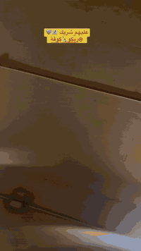 سلام عليكم دراجه ماكس عدله 👺❤نريد مراوس ب بوليس مسطره بيضه او زركه وحسب القناعه متواجد ع نت او اتصال ***********
