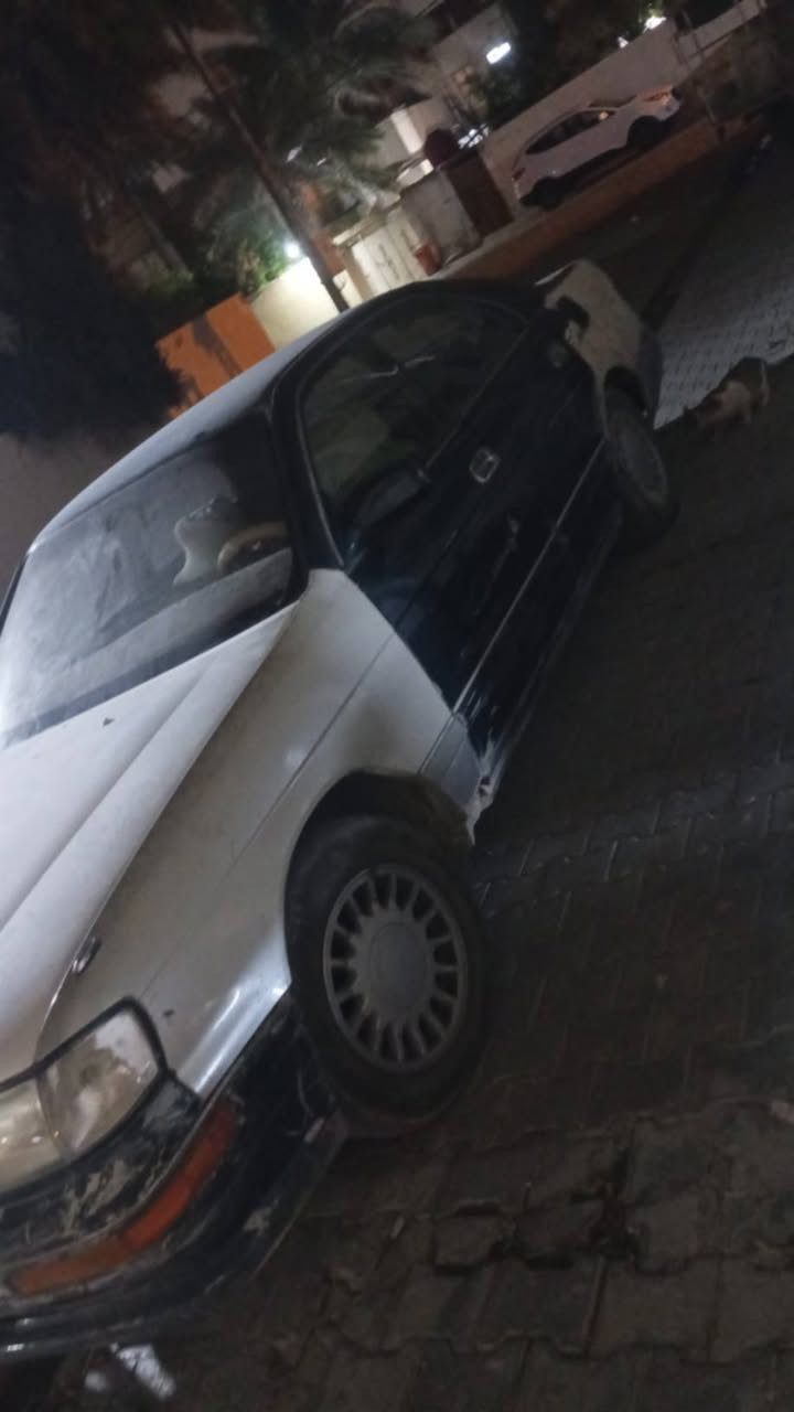 سلام عليكم بطه للبيع سنويه لل 28 راعيه نجف رقم بغداد مداور ثاني يوم  السعر 27 وبيه مجال الاتصال ع الرقم ***********
