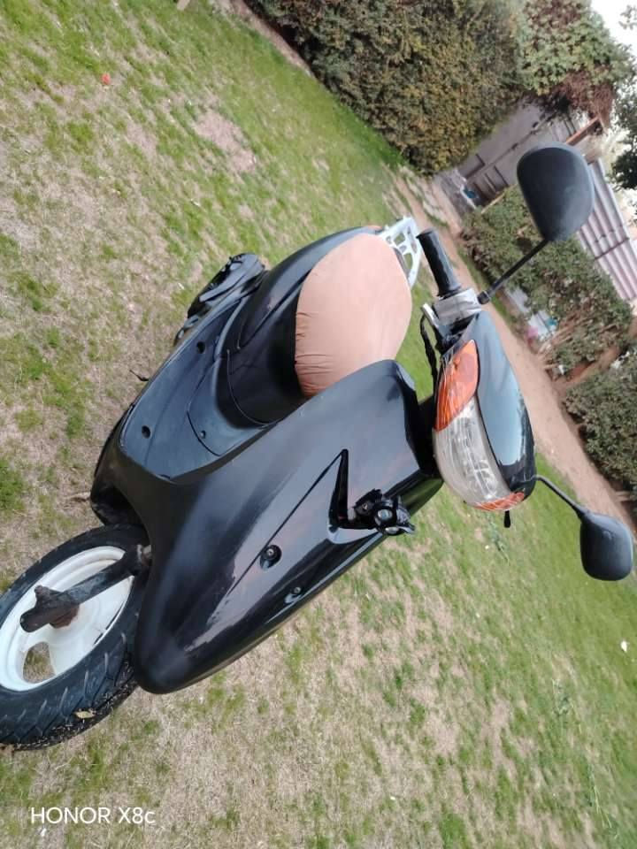 دراجه عصفوريه مكاني التاجي جرف الملح السعر250 وبي مجال الرقم للاستفسار ***********
